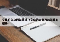 专业的企业网站建设（专业的企业网站建设有哪些）