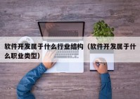 软件开发属于什么行业结构（软件开发属于什么职业类型）