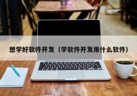 想学好软件开发（学软件开发用什么软件）