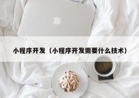 小程序开发（小程序开发需要什么技术）