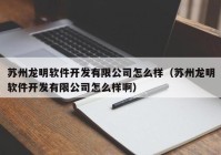 苏州龙明软件开发有限公司怎么样（苏州龙明软件开发有限公司怎么样啊）