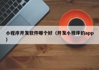 小程序开发软件哪个好（开发小程序的app）