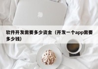 软件开发需要多少资金（开发一个app需要多少钱）