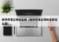 软件开发公司的名称（软件开发公司的名称怎么取）