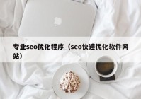 专业seo优化程序（seo快速优化软件网站）